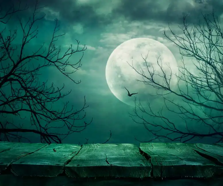 Unknown: Haunted forest with full moon