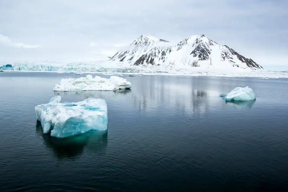 Unknown: Primavera artica nelle Spitsbergen meridionali