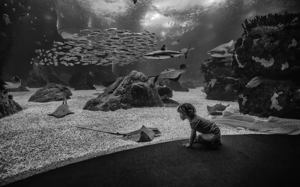 Carlos_Grury_Santos: Looking at the ancestors.