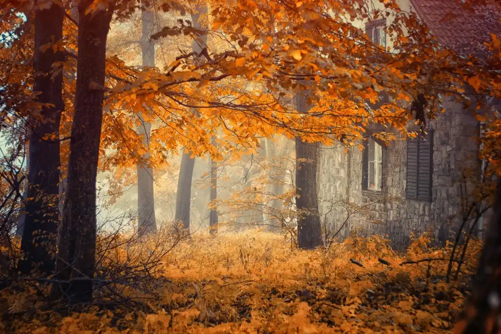 Neer, Ildiko: Hideaway