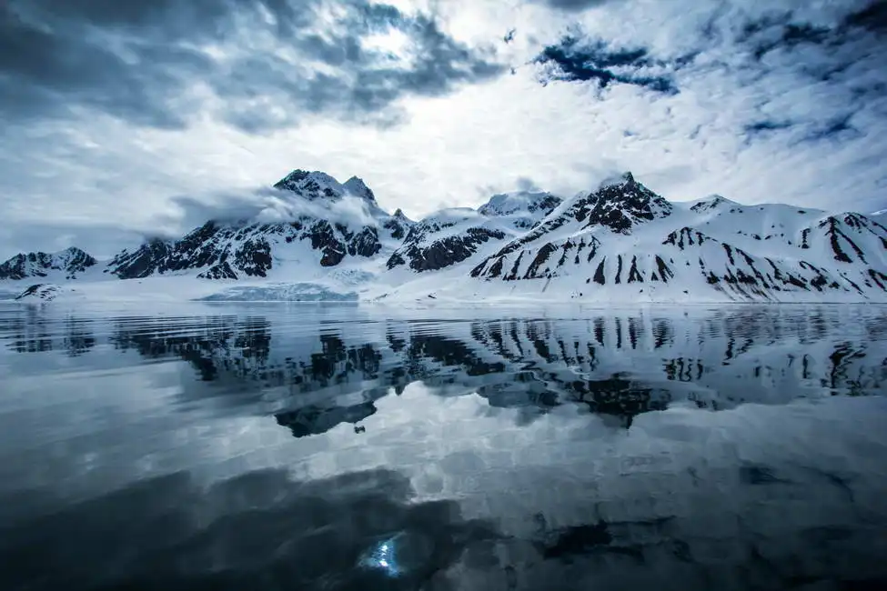 Unknown: Primavera Svalbard