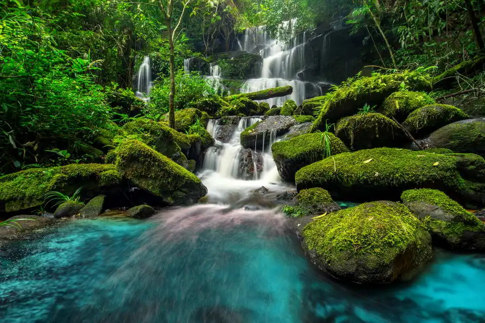 Unknown: Cascada en la selva en Phu bath Berk, Phetchabun, Tailandia