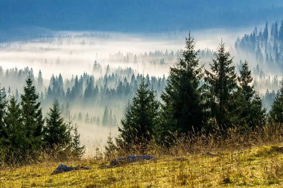 Unknown: Berge in Rumänien