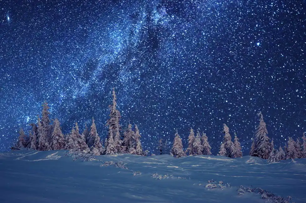 Unknown: Winter forest and the Milky Way