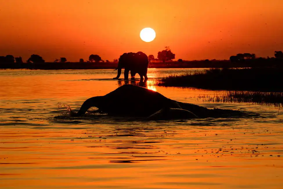 Unknown: Sunset on the River Chobe, Botswana