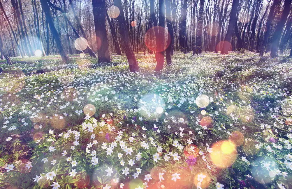 Unknown: Printemps