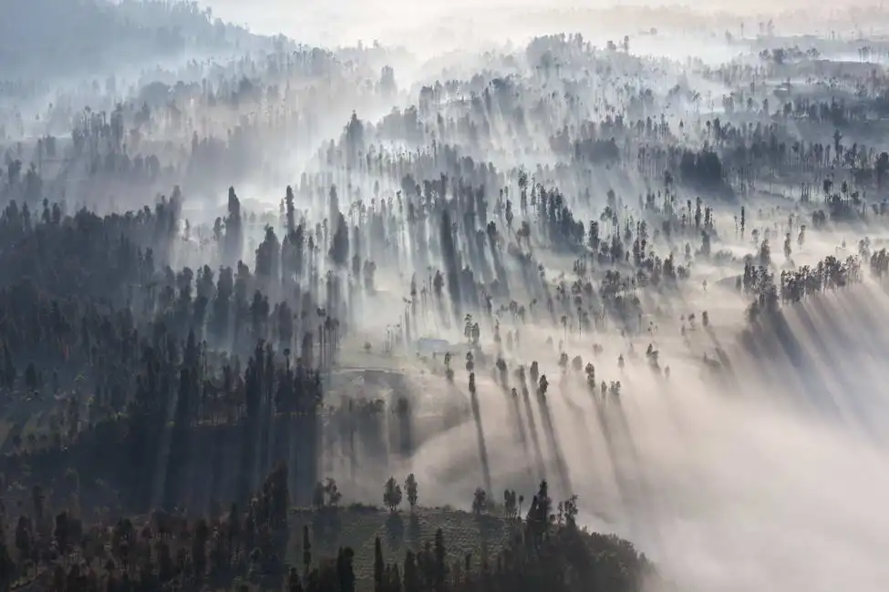 Unknown: Vulkan Bromo, Insel Java, Indonesien