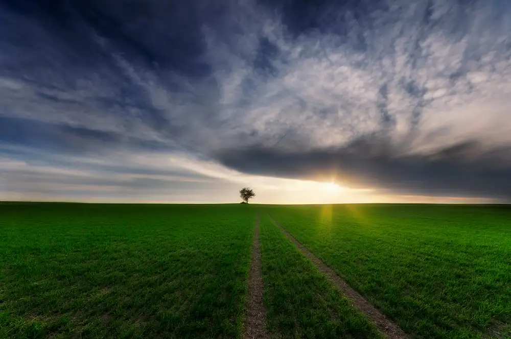 Krol, Bax Piotr: loner in the sun