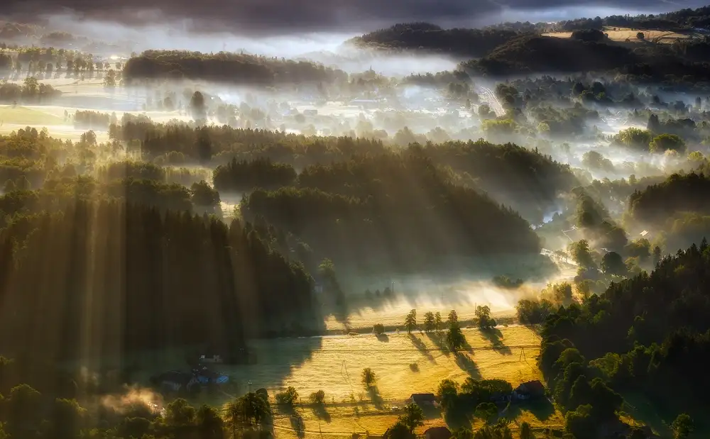 Krol, Bax Piotr: In the Morning Mists