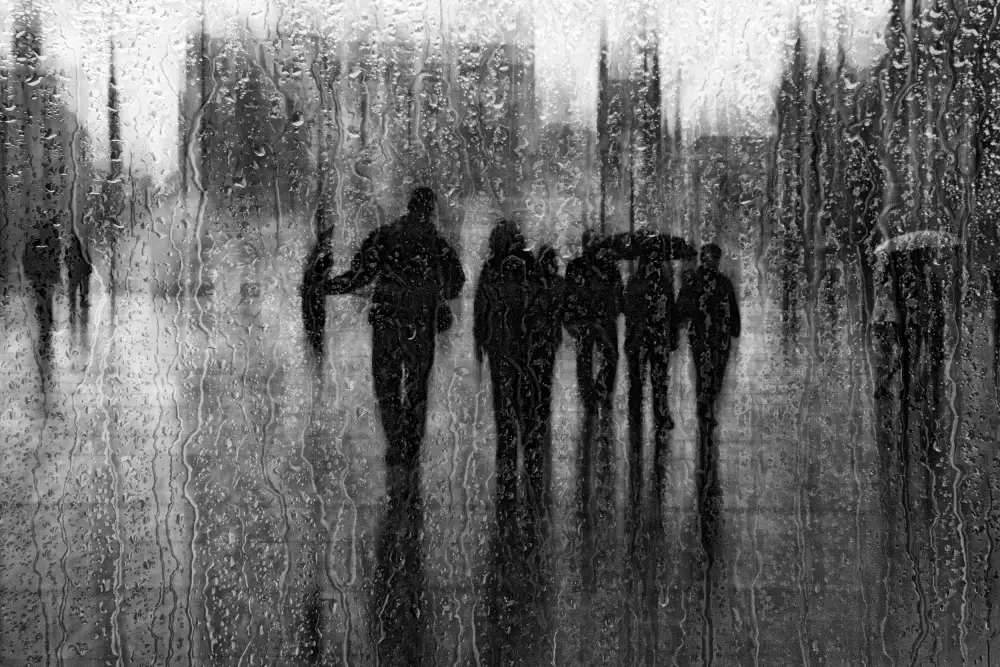 Schleicher-Schwarz, Roswitha: après la pluie