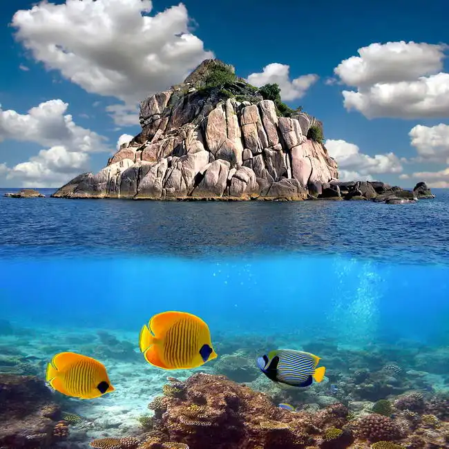 Unknown: Paradis tropical et coraux, Koh Tao, Thaïlande