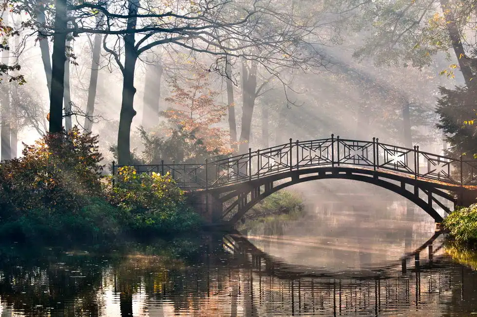 Unknown: The old bridge in autumn park