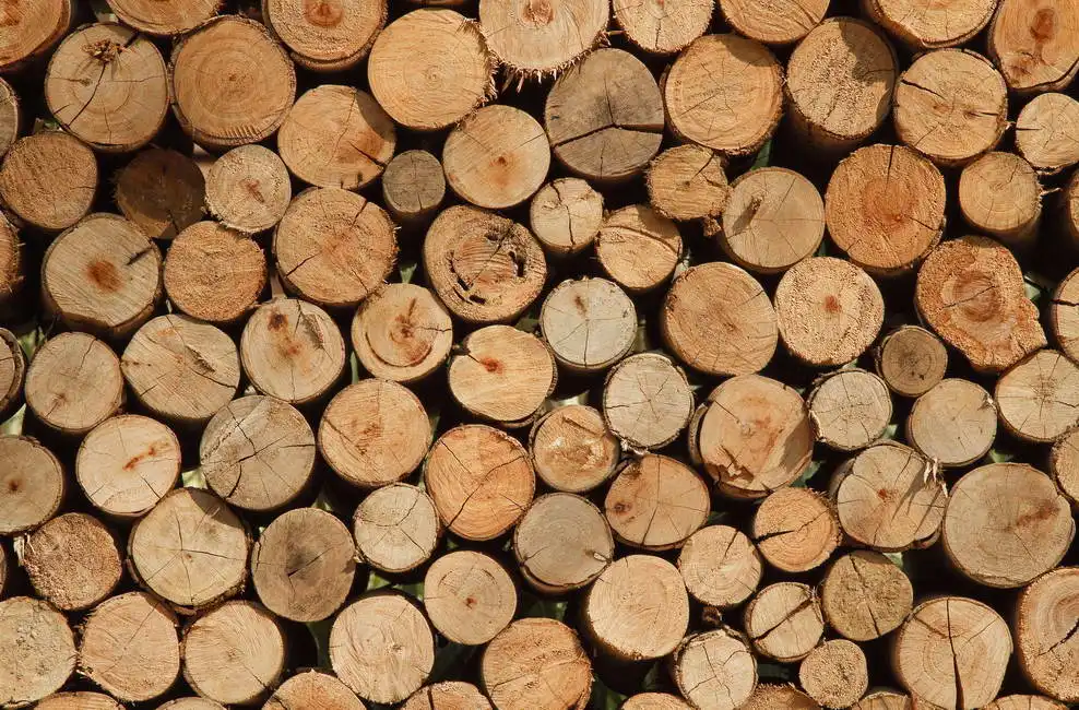 Unknown: Legno