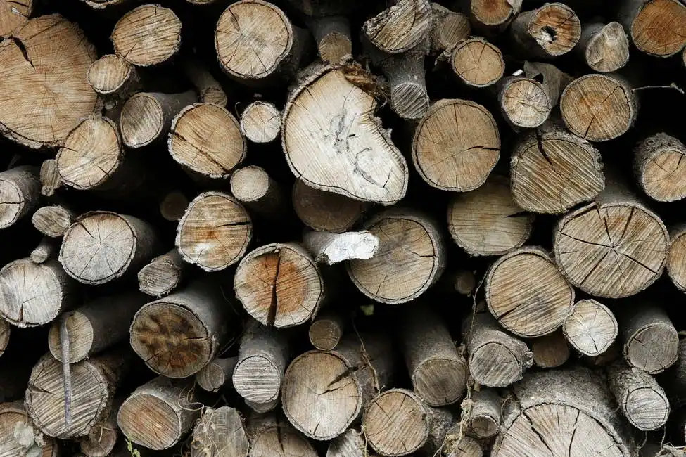 Unknown: Legno
