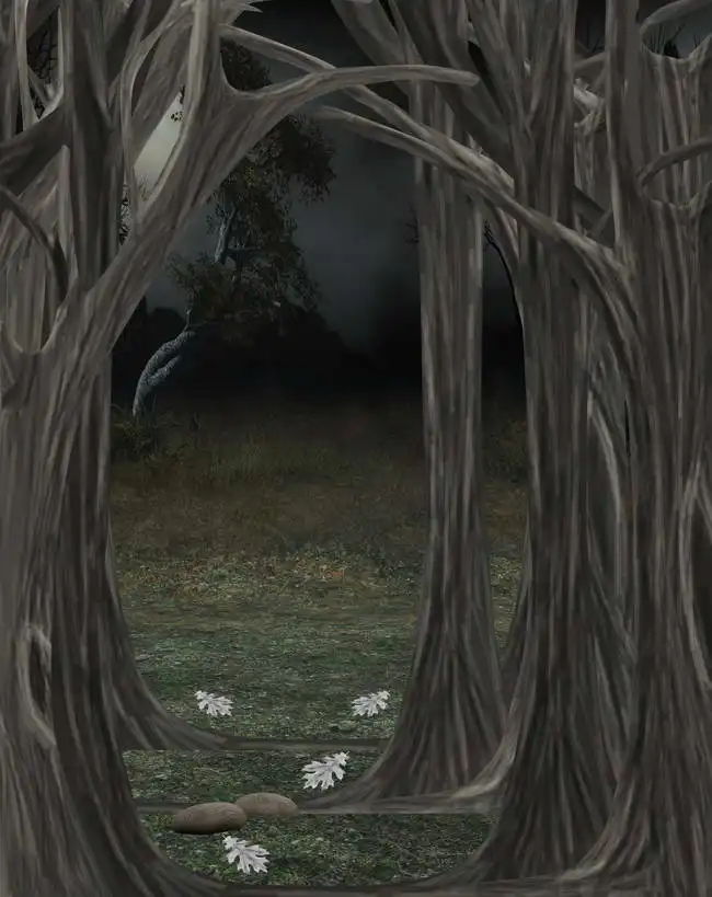Unknown: Bosque oscuro