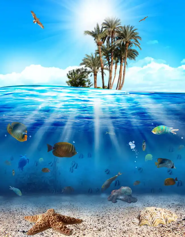 Unknown: Underwater scene