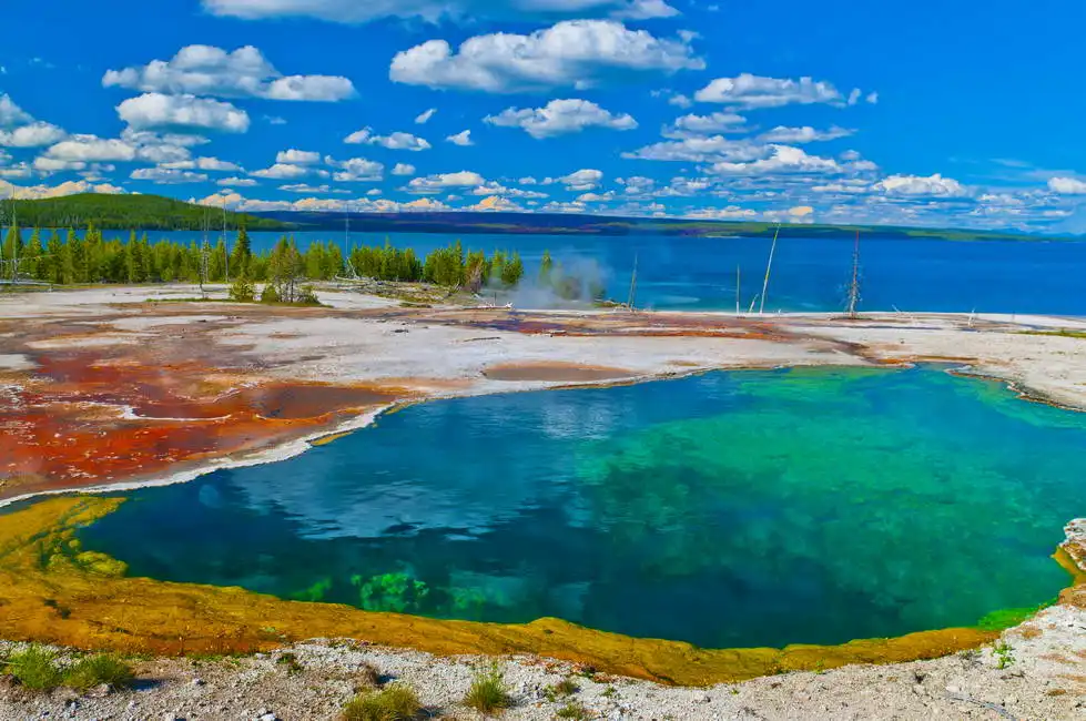 Unknown: Bacino dei geyser di Pollice Ovest, Yellowstone