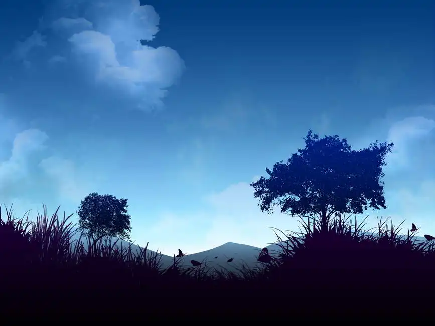 Unknown: Magico paesaggio notturno