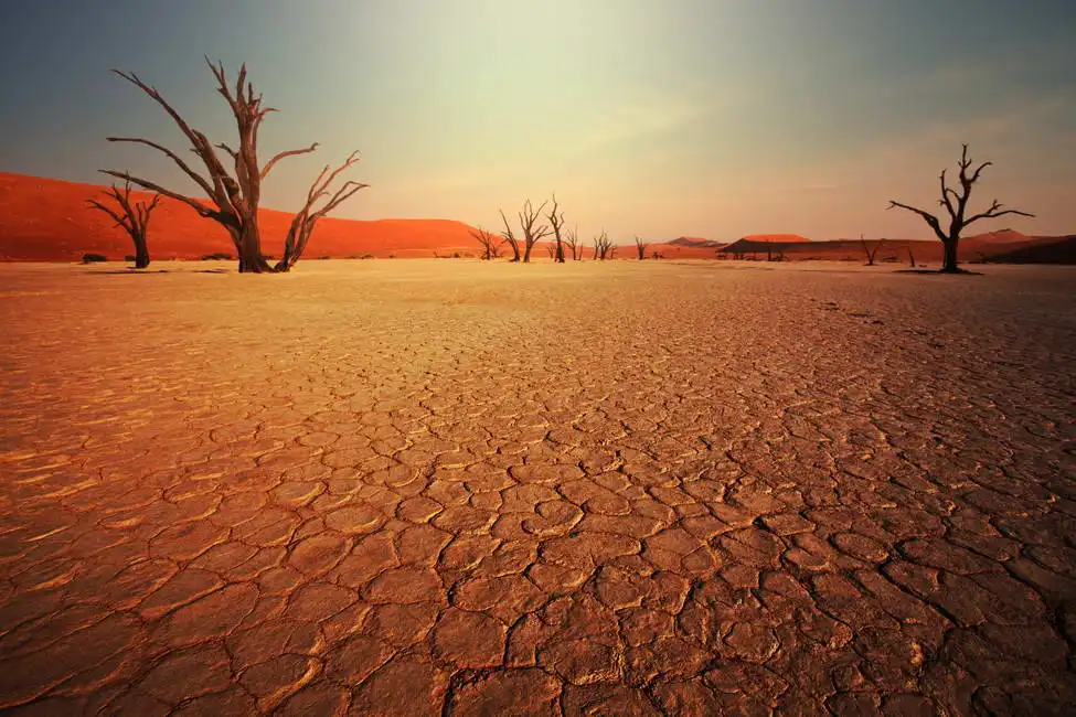 Unknown: Death Valley in Namibia