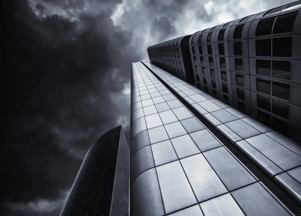Jonkman, Gerard: The Silver Tower
