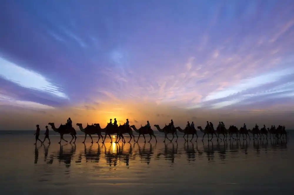 Doyle, Renee: Giro al tramonto