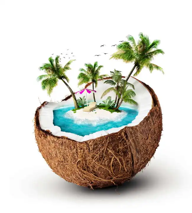 Unknown: Isola del cocco