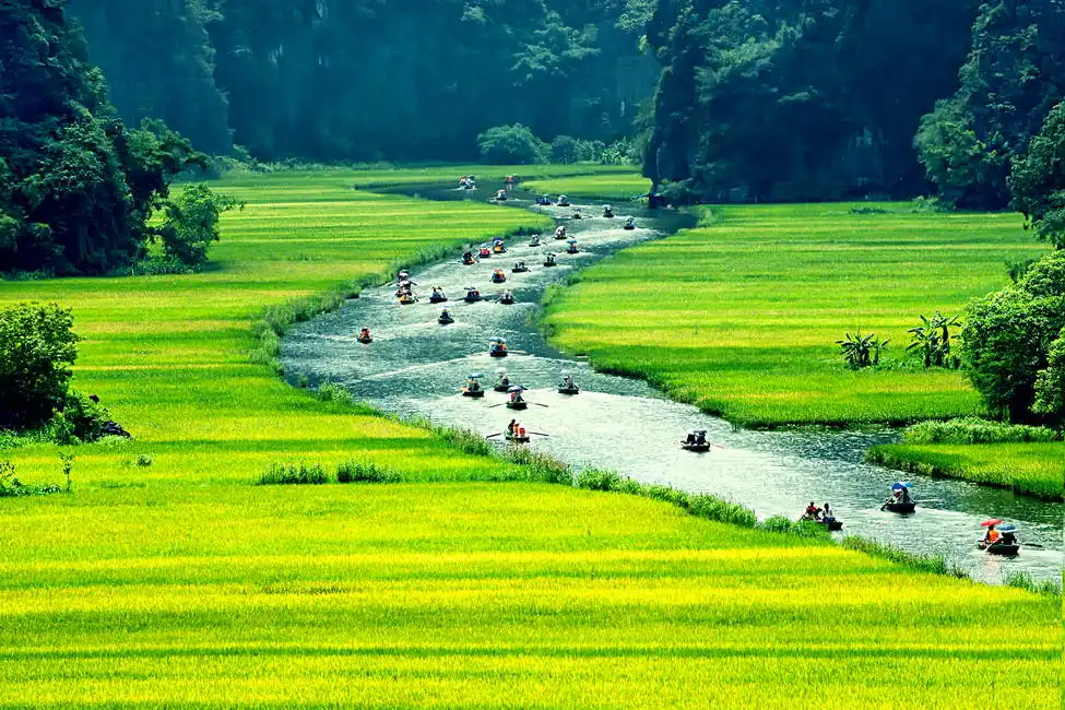 Unknown: Rice fields and river NinhBinh, Vietnam