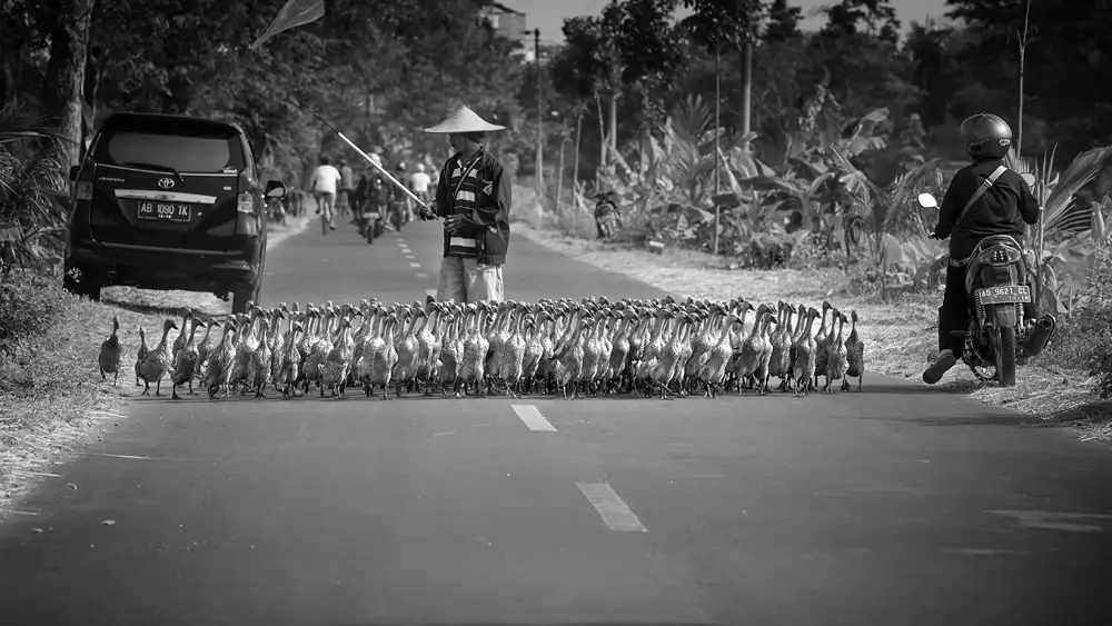 Song, Gunarto: This is our street!!!