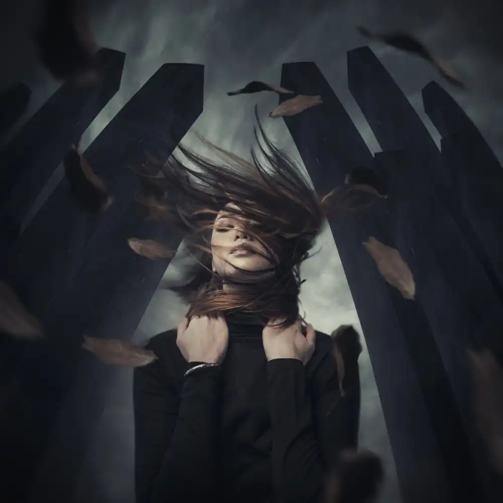 hardibudi: Story of black sparrow