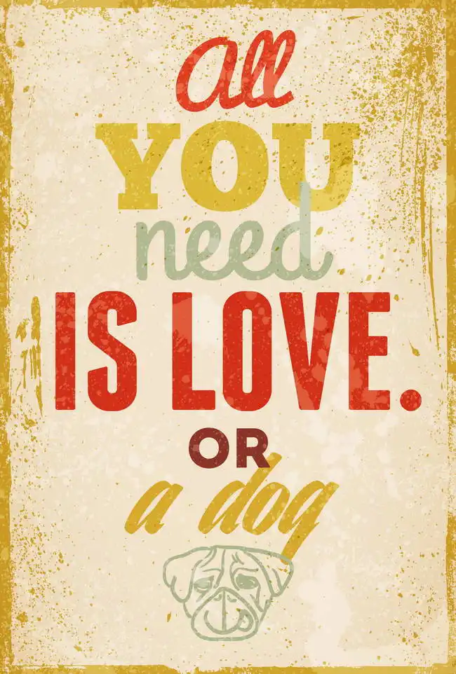 Unknown: All you need is love or a dog
