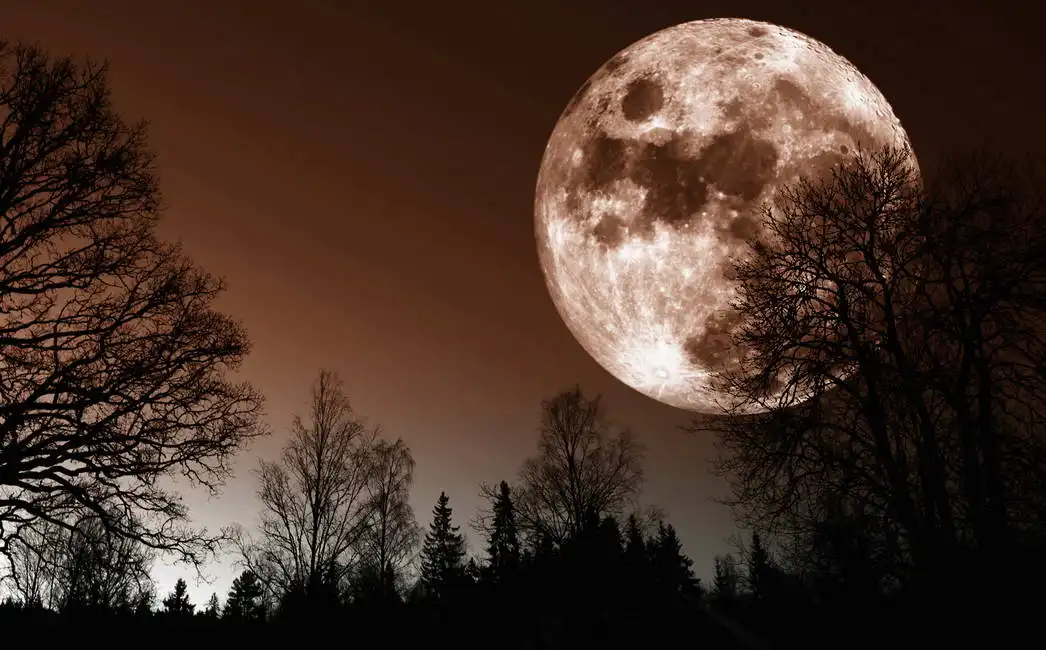 Unknown: Lune