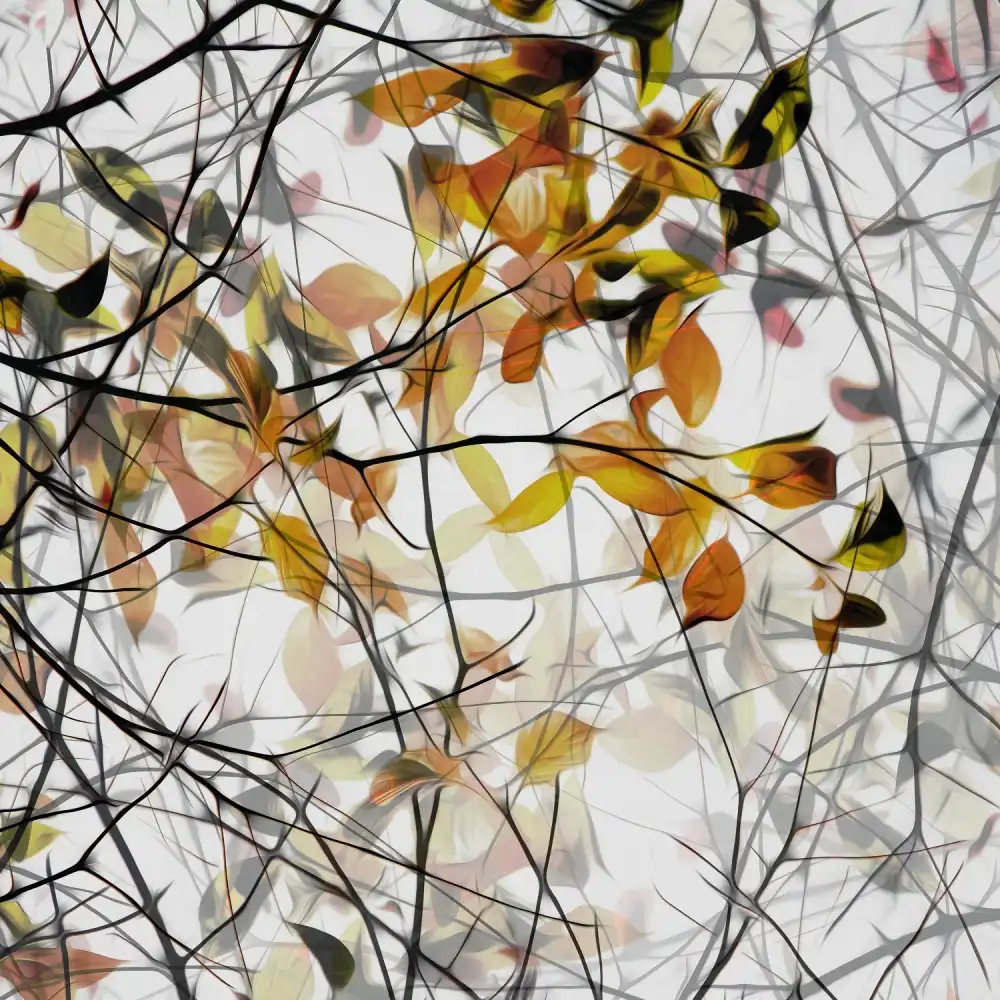 Claes, Gilbert: chanson d'automne