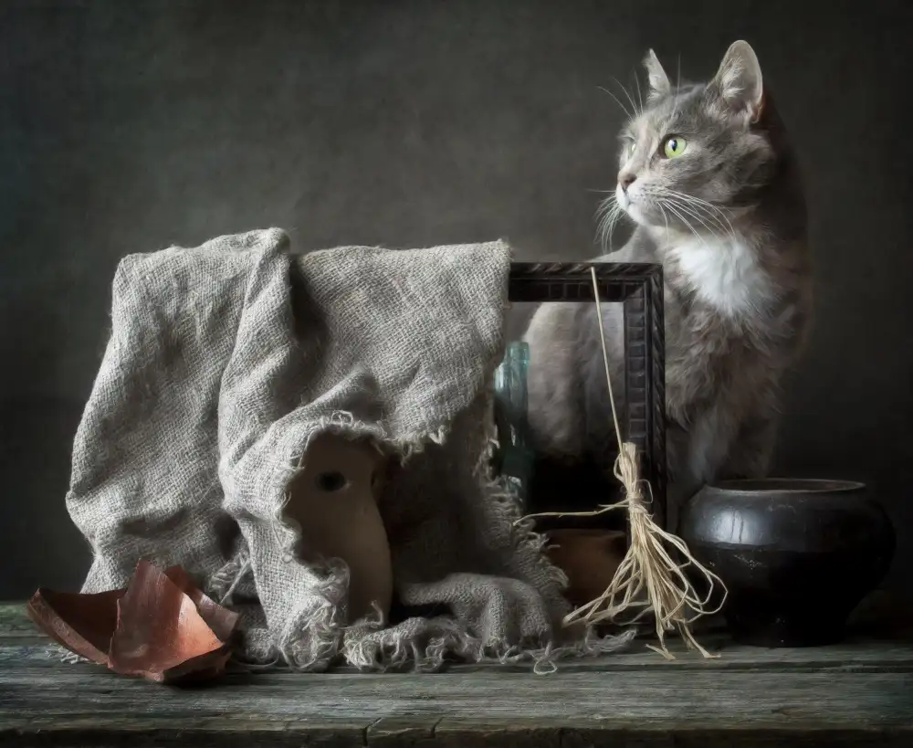 Grigorjeva, Eleonora: The witch