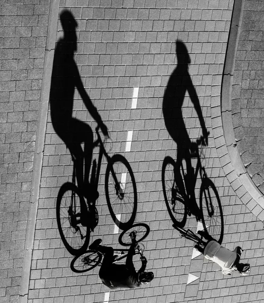 Hoog, de Roelof: Moving shadows