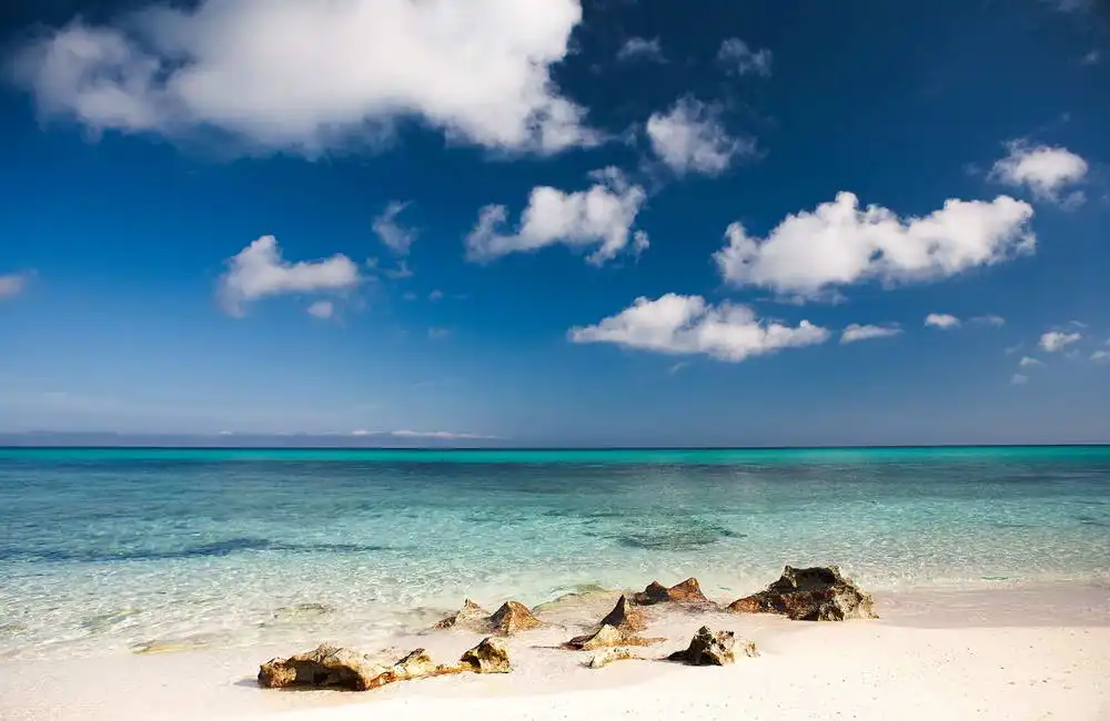 Unknown: Spiaggia tropicale