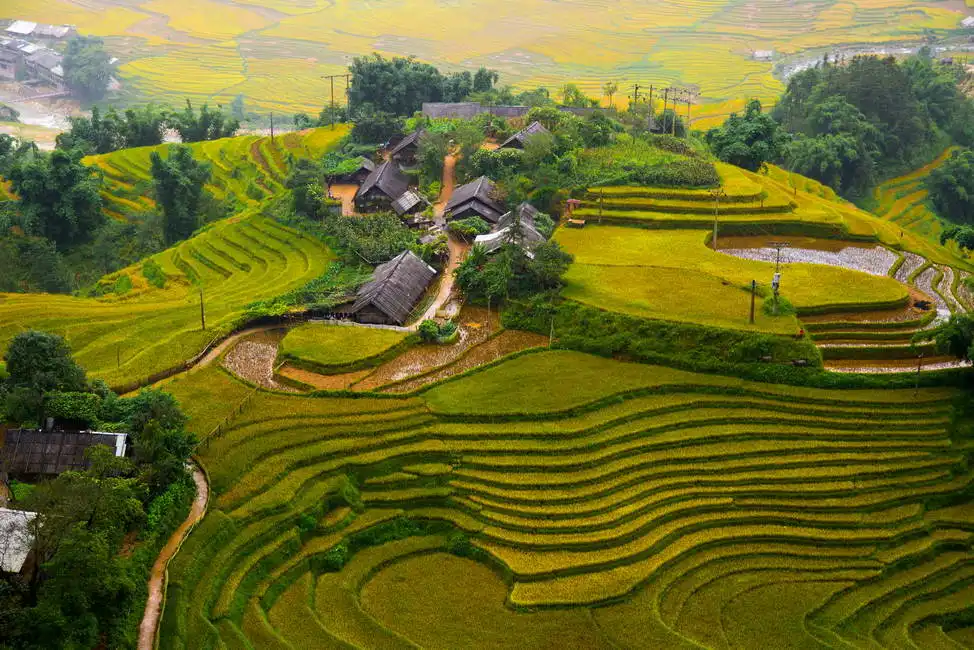 Unknown: Risaia, Sapa, Vietnam