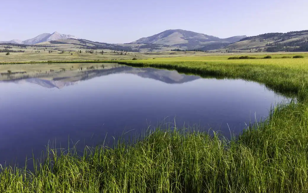Unknown: West Yellowstone, Wyoming, USA