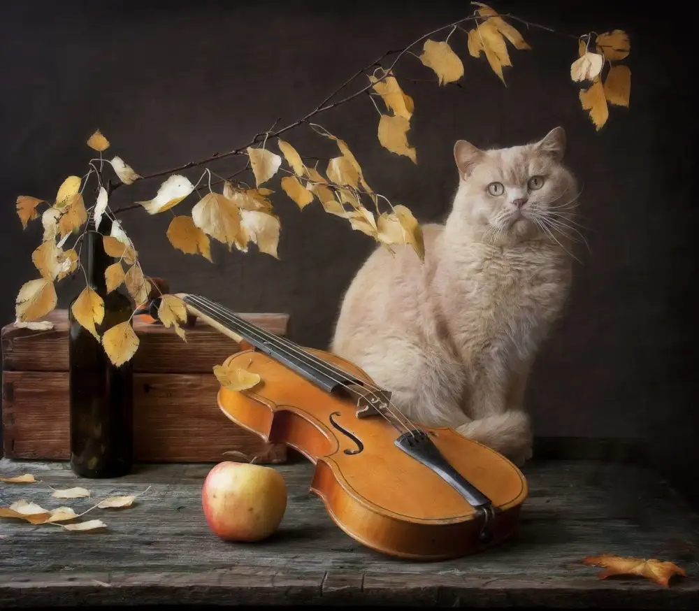 Grigorjeva, Eleonora: Autumn Melody for  Сat  and violin