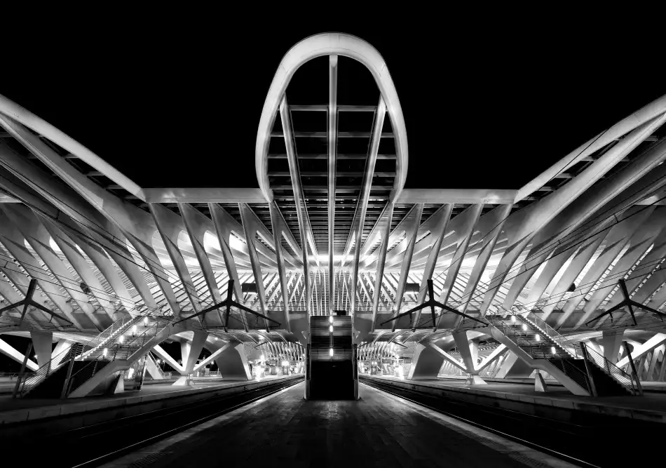 Wiel, van Jeroen: Entering