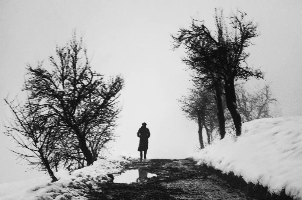 Krivec, Samanta: Leave it behind