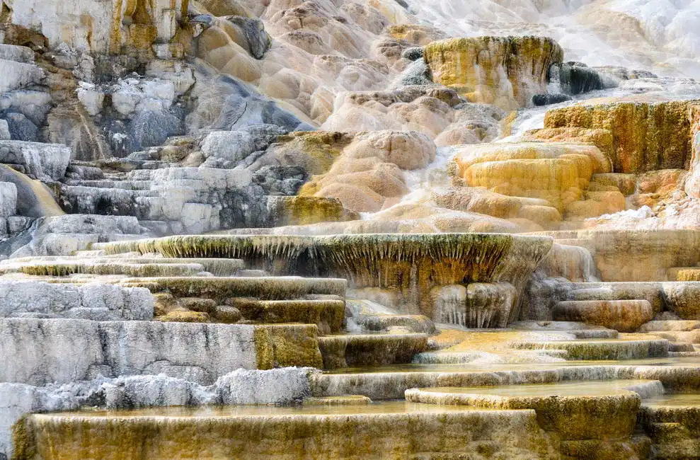 Neznámý: Mammoth Hot Springs, Yellowstone National Park