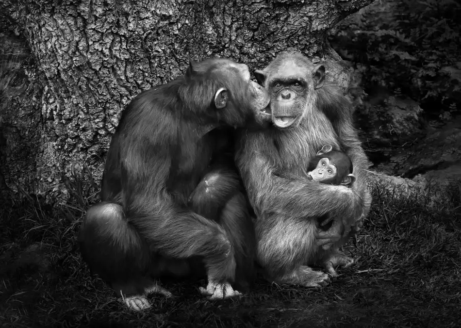 Duran, Luis Juan: THE FAMILY