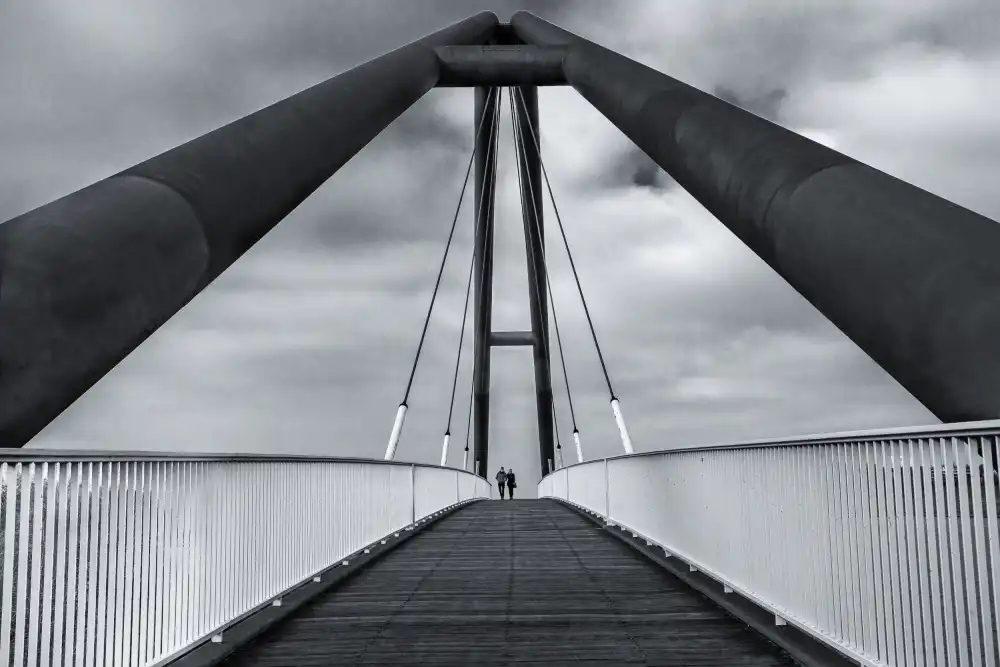 Hoog, de Roelof: Crossing the lines