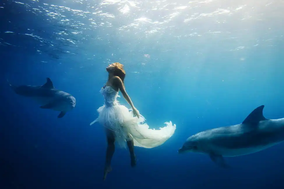 Unknown: Ragazza con delfini