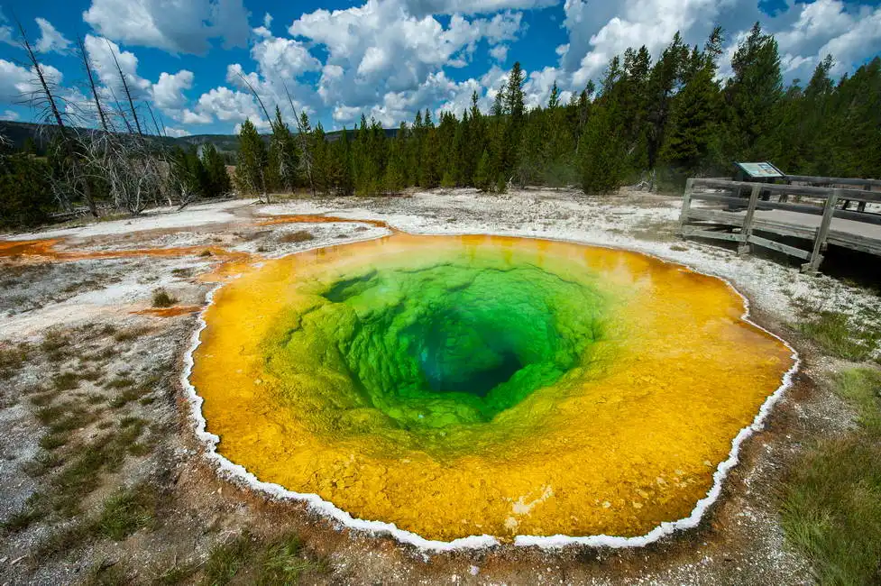 Unknown: Piscina di gloria mattutina, Yellowstone