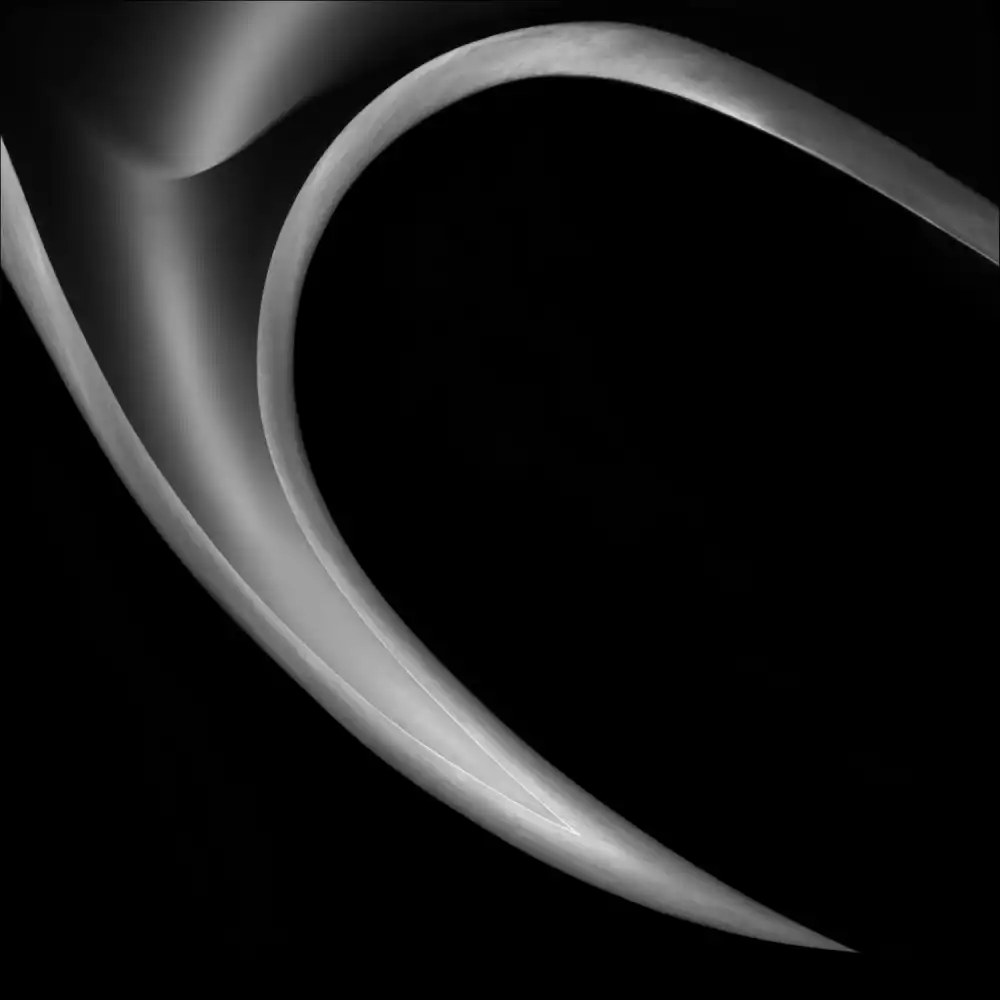 Claes, Gilbert: Das Horn
