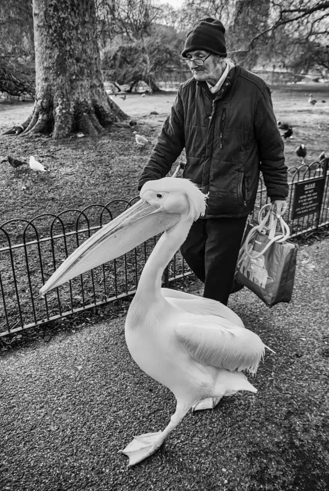 Zaccagnini, Lorenzo: Un homme et son animal de compagnie