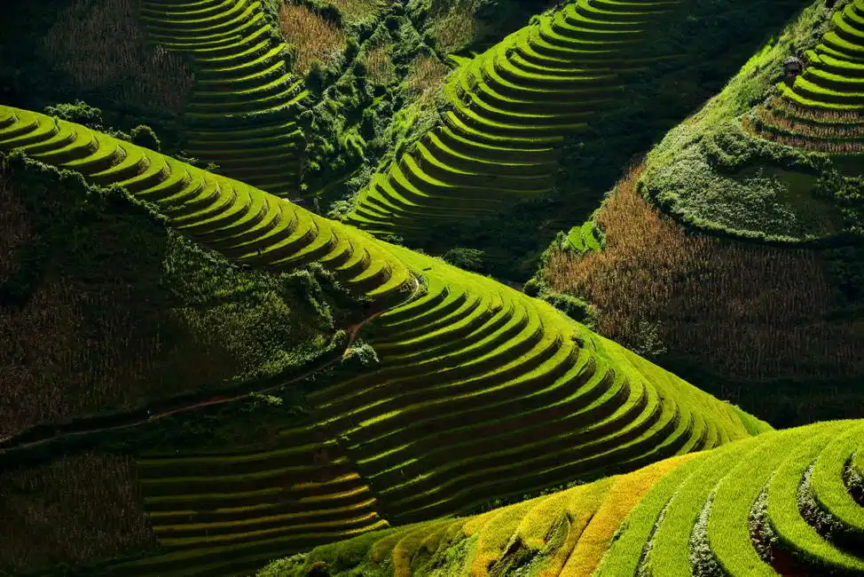 Unknown: Xa lao chai Mu Cang Chai, Vietnam