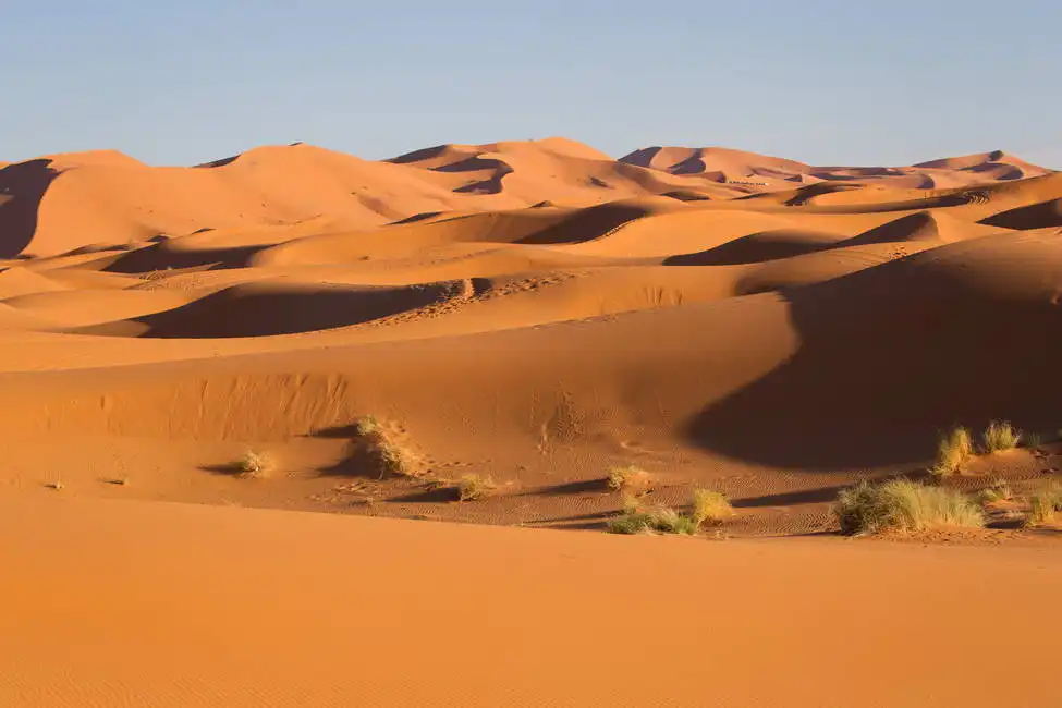 Unknown: Westsahara