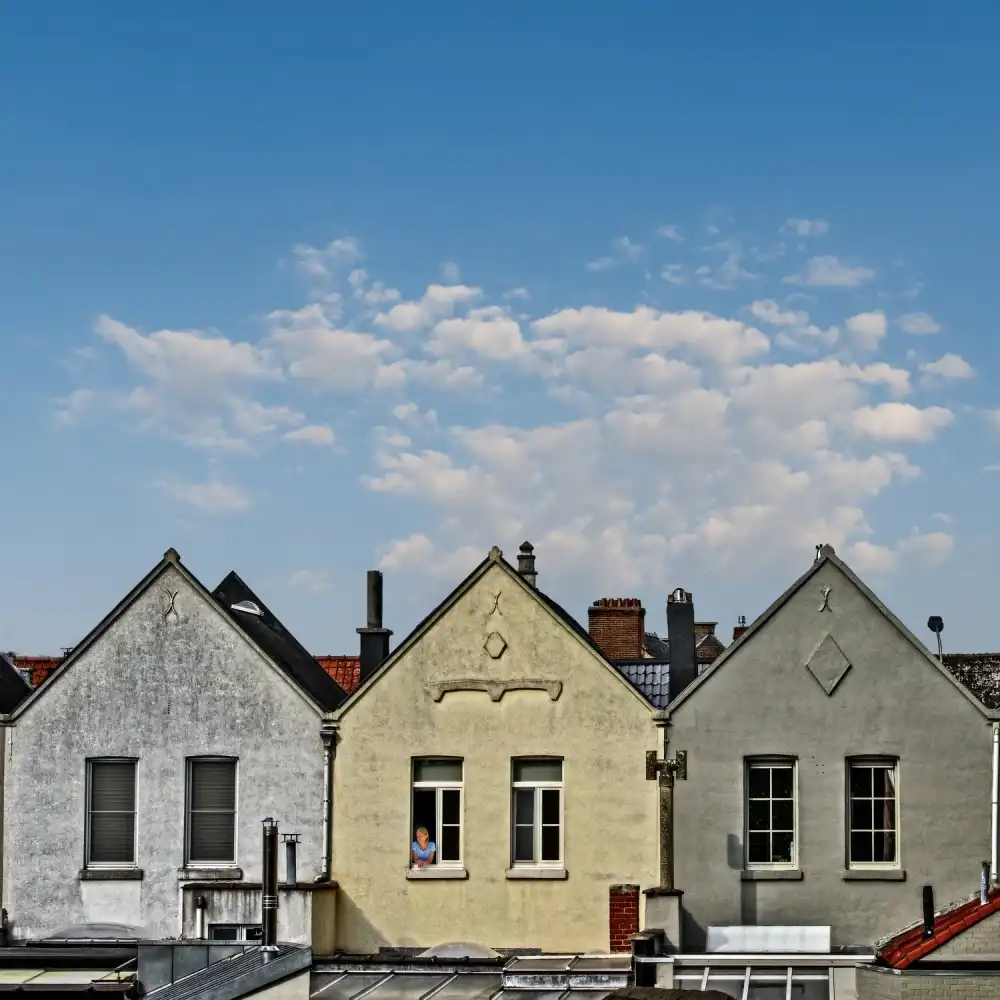Flour, Piet: the lady at the window